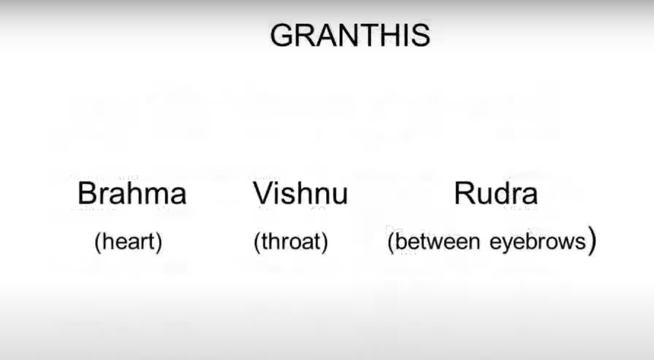 Pranayam31